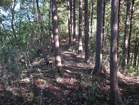 20161104hike (277)